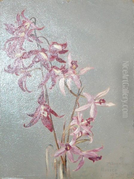 Orchids - view 1