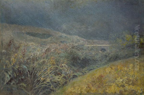 Motiv z Belianskych Tatier - view 1