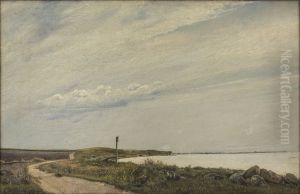 Vej langs stranden Stille sommerdag pa Eno