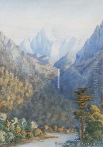 Scene In The Gorge Of The Routeburn Scene In The Gorge Of The Routeburn