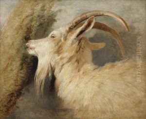 Head of a Goat by Sir Edwin Henry Landseer