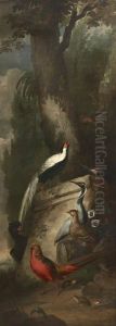 Red, Gold and Silver Pheasants and a Crane by Aert Schouman