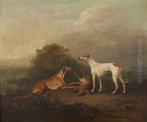 Two Greyhounds and a Dead Hare Two Greyhounds and a Dead Hare