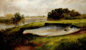A Salmon lying on a Riverbank