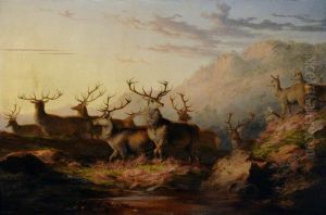 Stags on the Highlands by James Giles