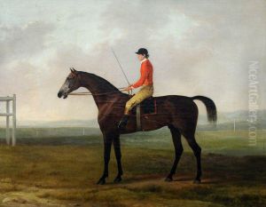 Pilot, a Grey Racehorse with a Jockey up in a Racecourse Setting
