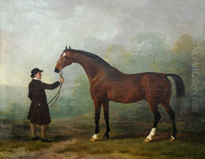 'Jason' a Bay Racehorse, with a Groom in a Landscape 'Jason' a Bay Racehorse, with a Groom in a Landscape