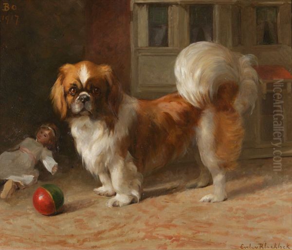 'Bo', a Pekingese dog - view 1