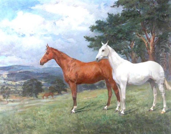 a Chestnut and a Grey Hunter - view 1