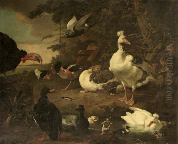 Turkey, Geese, Shelduck, and other Fowl, in a Landscape with a Stream - view 1