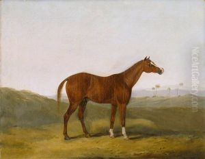 The Cole Arabian in an Indian Landscape