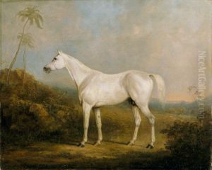 'Graniki', a Grey Arab Stallion in an Indian Landscape by Charles Henry Schwanfelder