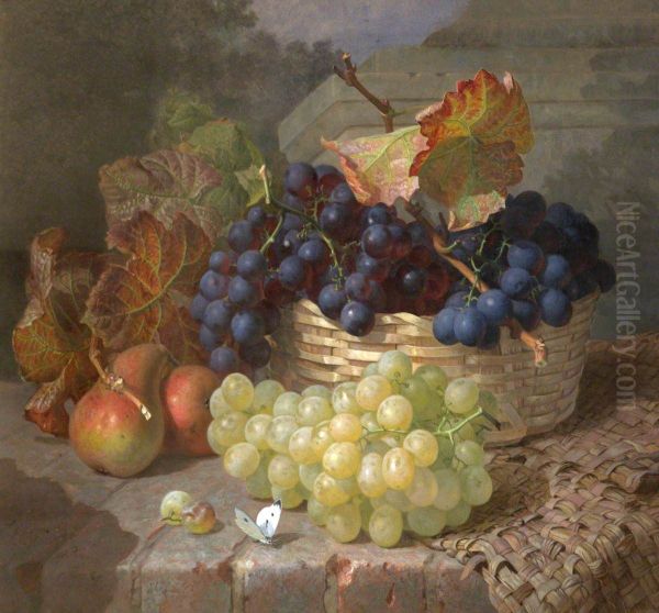 Still Life of White and Red Grapes in a Basket, with Two Pears and a Cabbage White - view 1