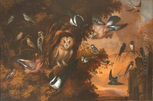 An Owl being Mobbed by other Birds