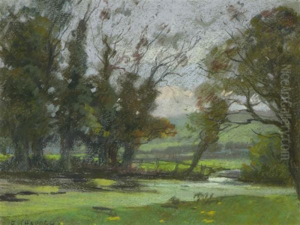Piante - view 1