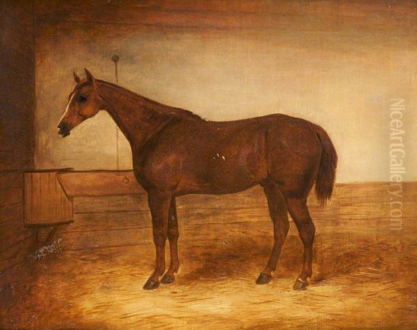 Chestnut Hunter in a Stable - view 1
