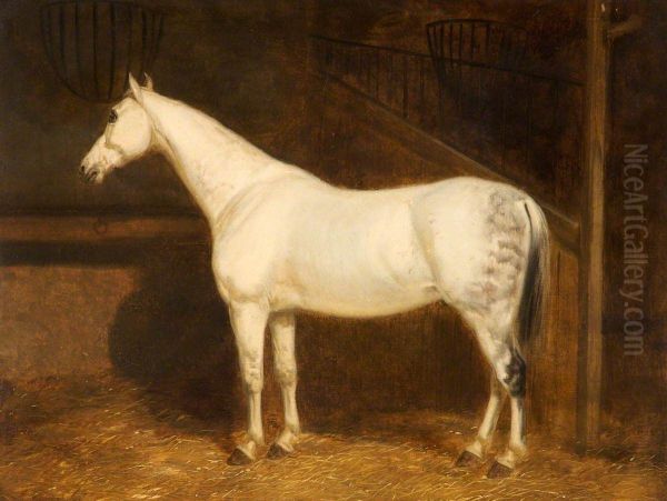 Grey Hunter in a Stable - view 1