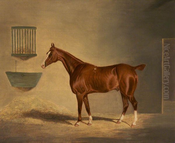 A Chestnut Horse in a Stable - view 1