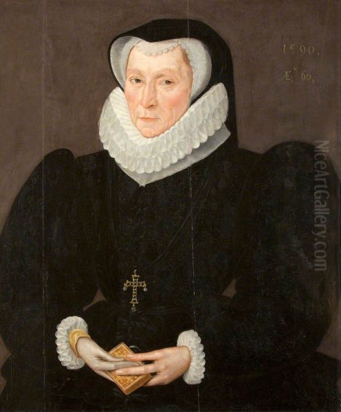 Lady Catherine Neville, Lady Constable (b. 1529/30), aged 60 - view 1