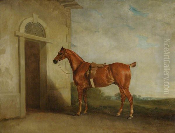 Chestnut Hunter before a Stable - view 1