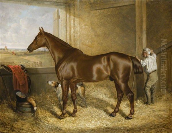 'Emperor' in his Stall - view 1