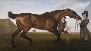 Hambletonian, Rubbing Down Hambletonian, Rubbing Down