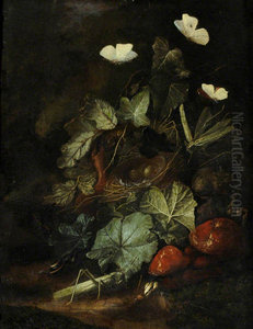Forest Floor Still Life Forest Floor Still Life