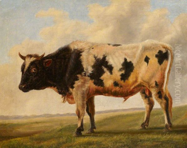 Friesian Bull in a Landscape - view 1
