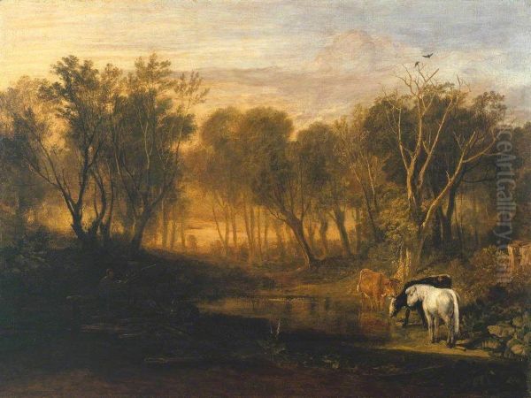 The Forest of Bere - view 1