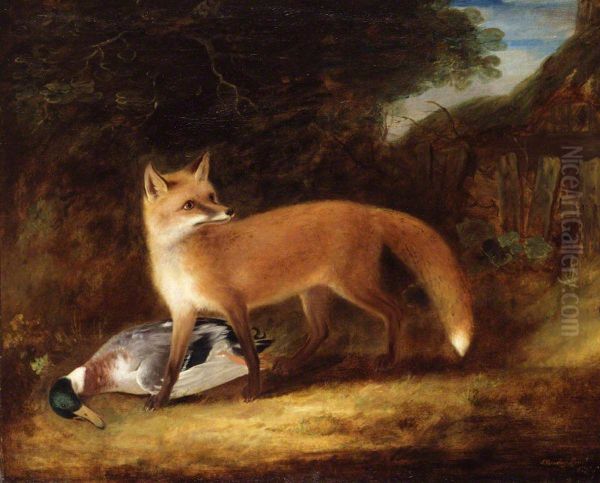 Fox and Duck - view 1