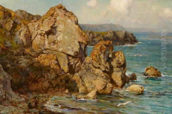 A Rocky Coast - view 1