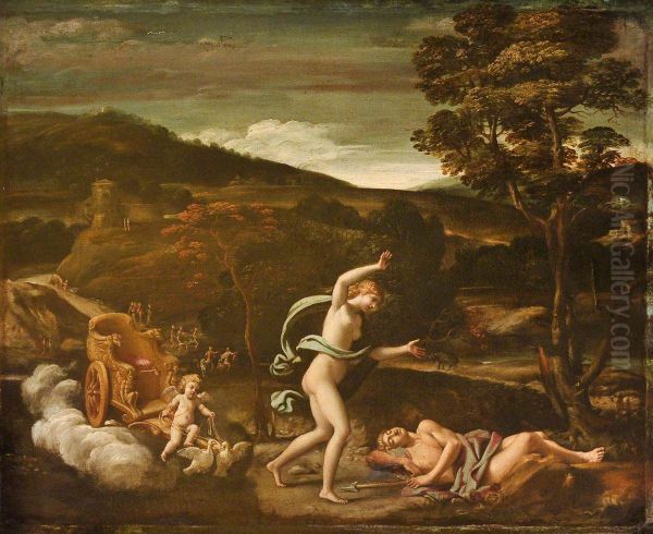 Venus lamenting the Death of  Adonis - view 1