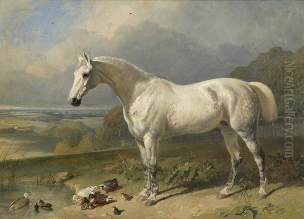 A Grey Horse and Ducks in a Landscape - view 1