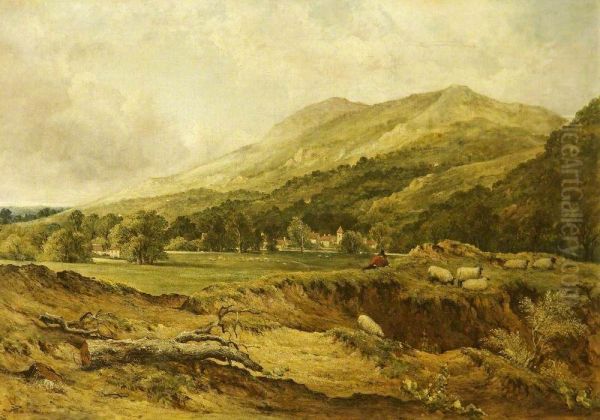 A View in Radnorshire - view 1