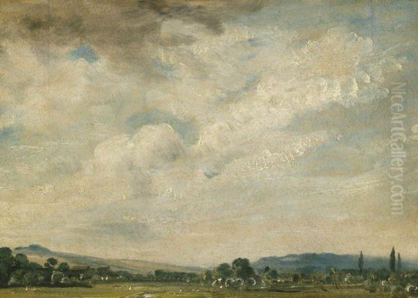 Harnham Ridge, near Salisbury - view 1