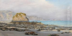 Skag Rock, Pembrokeshire
