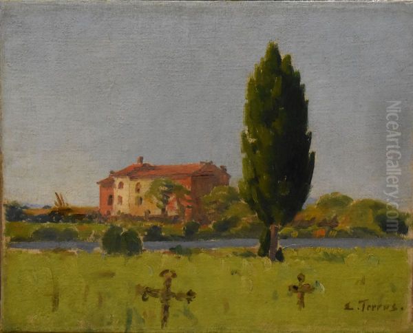 Elne Cemetery - view 1