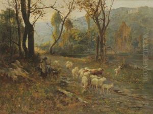 Moutons Pres D'un Cours D'eau
