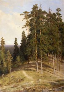 Las z gory by Ivan Shishkin