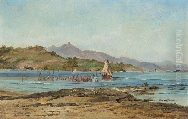 Landscape - view 1
