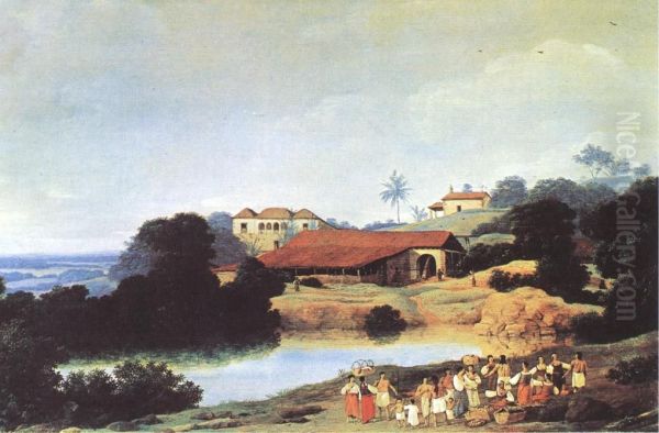 Brasilian Landscape - view 1