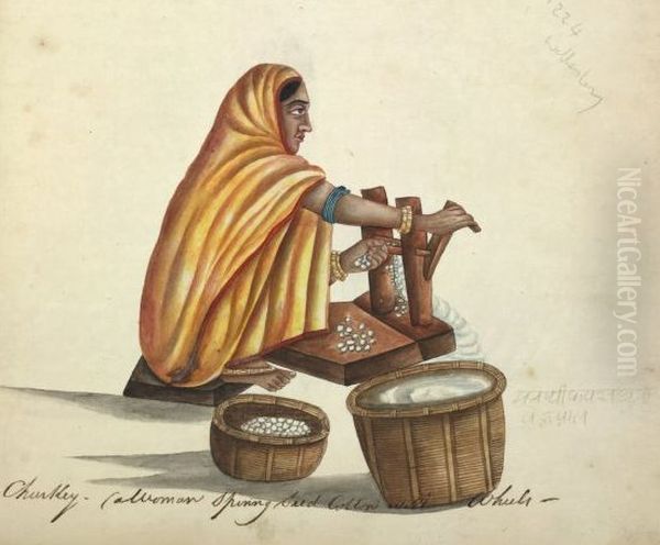 Indian woman gining cotton - view 1