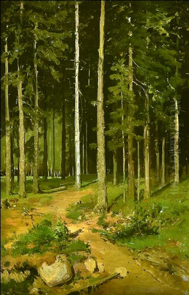 Road in the Forest - view 1
