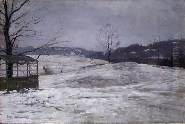 Vinterlandskap - view 1