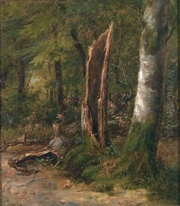 Study of Trees by Johan Gorbitz