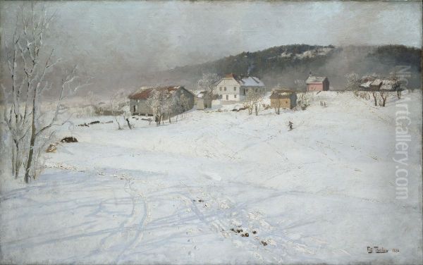 Winter - view 1