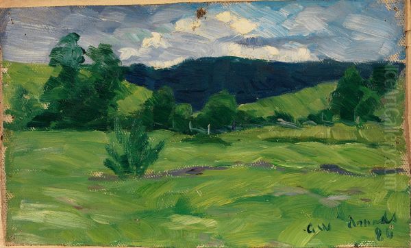 Summer - view 1