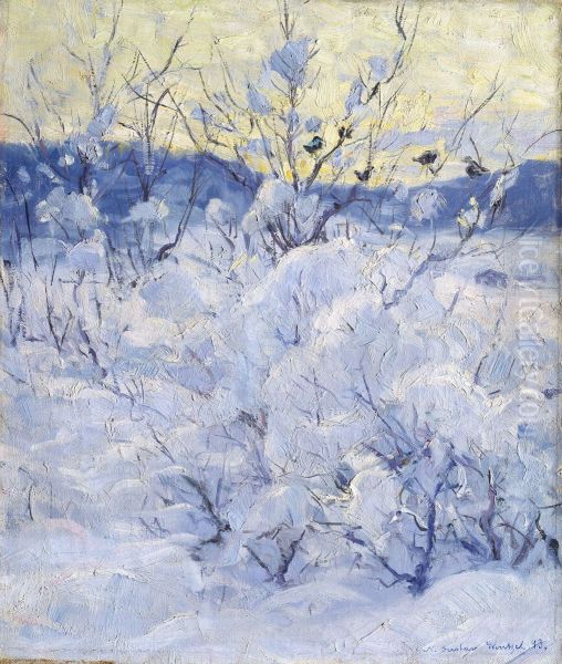 Winter Evening - view 1