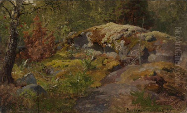Forest Floor - view 1