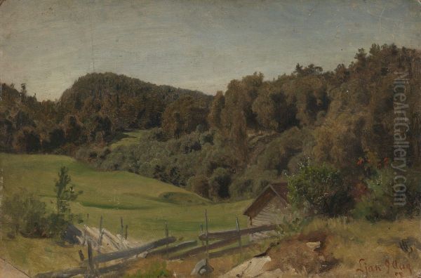 Landscape at Ljan - view 1